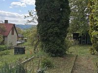 Zahrada v obci Klášterec na Ohří - Obrázek WhatsApp, 2025-05-09 v 09.52.06_e43fe0ea.jpg