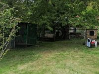 Zahrada v obci Klášterec na Ohří - Obrázek WhatsApp, 2025-05-09 v 09.52.08_4f5e7be2.jpg