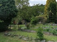 Zahrada v obci Klášterec na Ohří - Obrázek WhatsApp, 2025-05-09 v 09.52.12_9a6258f3.jpg