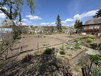 Prodej zahrádky v obci Litvínov - IMG_2292(1).jpeg