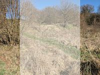 stavební pozemek Počaply u Březnic - 555.jpeg