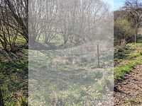 stavební pozemek Počaply u Březnic - WhatsApp Image 2026-04-18 at 17.46.08.jpeg