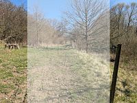 stavební pozemek Počaply u Březnic - WhatsApp Image 2026-04-18 at 17.46.09.jpeg