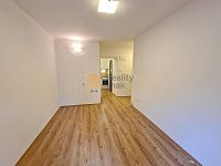 Pronájem cihlového bytu 1+1, 24 m2, dvorek, sklep, ul. Vodní, Staré Brno - Foto 5