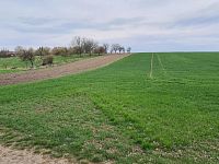 Prodej pozemku pro bydlení, 1854 m2, Jiříkovice - Foto 3