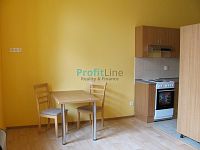 Pronájem bytu 1+kk, 41 m2, Sudkov