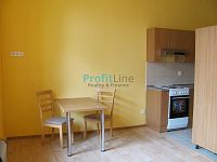 Pronájem bytu 1+kk, 41 m2, Sudkov