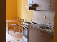 Pronájem bytu 1+kk, 41 m2, Sudkov