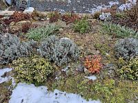 Chata Struhařov (Praha východ) - 20260207_141315.jpg