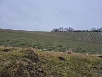 Chata Struhařov (Praha východ) - 20260207_142141.jpg