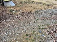 Stavební pozemek Pavlovice u Vlastějovic - 20260315_093121.jpg