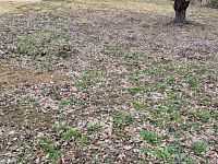 Stavební pozemek Pavlovice u Vlastějovic - 20260315_093220.jpg