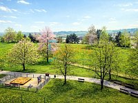 Slunný byt 2+kk s lodžií a sklepem v revitalizovaném domě – Brno, Starý Lískovec - 07_vyhled_jaro.jpg