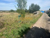 Prodej souboru pozemků 38 046 m², Dřísy, okres Praha-východ - 5c5bdb51-5576-4d2d-862b-600cede93d39.JPG