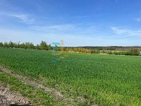 Prodej souboru pozemků 38 046 m², Dřísy, okres Praha-východ - 99686071-9bd0-42fd-8731-b30255417554.JPG