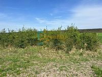 Prodej souboru pozemků 38 046 m², Dřísy, okres Praha-východ - a060f9ef-b22c-414f-88c1-ad71d88a8716.JPG