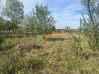 Prodej pozemku k bydlení a investici v obci Dřísy, okres Praha-východ - 07d0d242-7278-4f8e-b6ef-664b2c52c9f3.JPG
