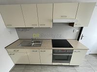 Pronájem bytu 1+1 - D137077C-91E0-446E-A5F4-7ABCA4BE94CC.jpeg