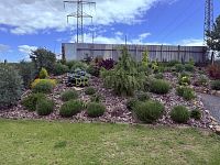 Prodej zahrady s chatkou - IMG_3047.jpeg