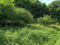 Prodej pozemků 42 844m² - 80b98ccf-969f-4e3a-bf39-e43ffe73f26d.jpeg