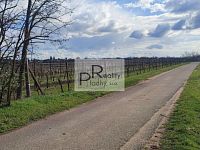 Prodej vinice v Drnholci – viniční trať Na výsluní - 4.jpg