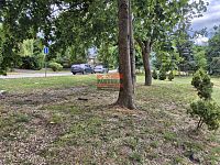 Prodej pozemku 433 m² – Sezimovo Ústí - 20250722_161652.jpg