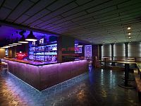 Prodej komerčního objektu s prosperující restaurací, barem a diskotékou v centru Veselí nad Lužnicí - Disco10.jpg