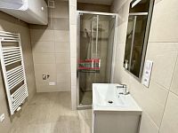 Pronájem bytové jednotky 2+1 51,9 m2 s parkovacím stáním v Bechyni - koupelna