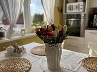 Prodej bytové jednotky 3+1 s garáží 86,2 m2 v Táboře - kuchyně