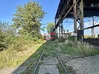 Prodej komerčního pozemku o výměře 17.000m2 v Českých Budějovicích - IMG_5875.jpeg