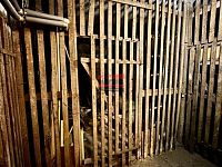 Prodej 1/2 bytového domu, Praha 9 - Hloubětín, ul. Poděbradská - IMG_6164.jpeg