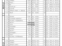 Prodej hrubé stavby bytového domu - 8 bytových jednotek + 11 parkovacích míst, Lomnice nad Lužnicí - IMG_8303.jpeg