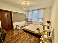 Prodej bytu 2+1 s balkonem v Plané nad Lužnicí - IMG_8345.jpeg