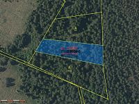 Prodej spoluvlastnického podílu na pozemcích - k.ú. Borkovice - Borkovice_3.jpg