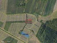 Prodej spoluvlastnického podílu na pozemcích - k.ú. Borkovice - Borkovice_5.jpg