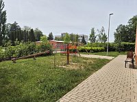 Prodej bytu 1+kk po rekonstrukci, Planá nad Lužnicí - 20260604_142857.jpg