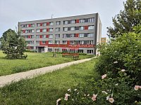 Prodej bytu 1+kk po rekonstrukci, Planá nad Lužnicí - 20260604_142953.jpg
