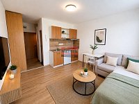 Prodej bytu 1+kk po rekonstrukci, Planá nad Lužnicí - file_00000000dde471fd9ee73adc73462faa.jpg