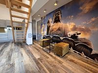 Prodej jediněčného mezonotového apartmánu, 124m2, 2 koupelny, terasy a WC, Lipno nad Vltavou. - Prodej jediněčného mezonotového apartmánu, 124m2, 2 koupelny, terasy a WC, Lipno nad Vltavou.