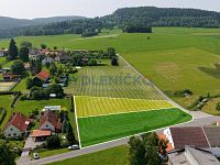 Prodej stavebních pozemků pro výstavbu RD, 1587 m2 a 1345 m2, Věžovatá Pláně, okres Český Krumlov - Prodej stavebních pozemků pro výstavbu RD, 1587 m2 a 1345 m2, Věžovatá Pláně, okres Český Krumlov