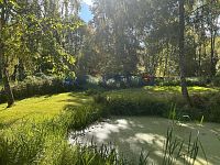 Prodej zemědělské usedlosti, pozemek 2 383 m2, Bukovsko - Malonty, okres Český Krumlov - Prodej zemědělské usedlosti, pozemek 2 383 m2, Bukovsko - Malonty, okres Český Krumlov.