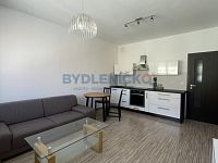 Pronájem bytu 2kk, 42 m2, ulice B.Smetany, České Budějovice - Pronájem bytu 2kk, 42 m2, ulice B.Smetany, České Budějovice