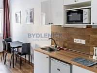Pronájem bytu 1+kk, 30 m2, ulice Nová, České Budějovice - Pronájem bytu 1KK, ulice Nová, České Budějovice