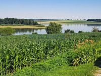 Prodej stavebního pozemku 705 m2 pro rekreaci u rybníka Dehtář v jižních Čechách, okres České Budějovice - Prodej pozemku 705 m2 u rybníka Dehtář v jižních Čechách, okres České Budějovice