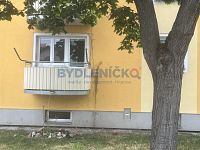 Prodej bytu 2+1 v OV, lukrativní lokalita, ulice Nerudova, České Budějovice - IMG_1083.jpeg