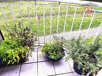 Prodej velkého bytu 3+1, 92 m2, se třemi balkony, Olomouc, Nové Sady, Handkeho ulice - IMG_20251209_101525.jpg