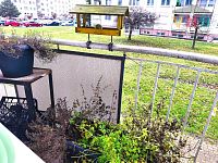 Prodej velkého bytu 3+1, 92 m2, se třemi balkony, Olomouc, Nové Sady, Handkeho ulice - IMG_20251209_101539.jpg