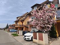 Prodej rodinného domu se zahradou, Mohelnice - IMG_20250414_130416.jpg