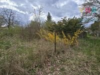 Klidný domov v přírodě, stavební pozemek, Ptení, Pt.Dvorek - image014.jpg