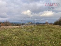 Pozemek 3848 m2, Nepomuk, Na Čihadle